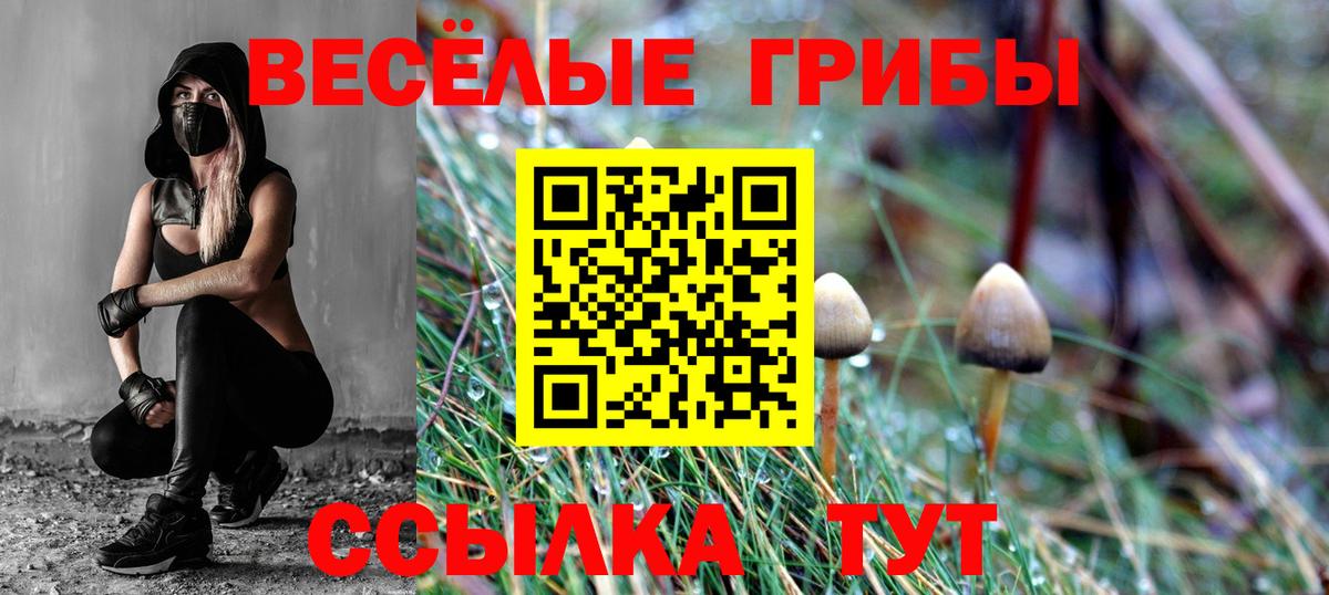 Галлюциногенные грибы GOLDEN TEACHER Елец